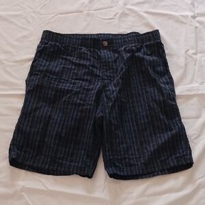 Eddie Bauer Men's Blue Striped Cotton Shorts